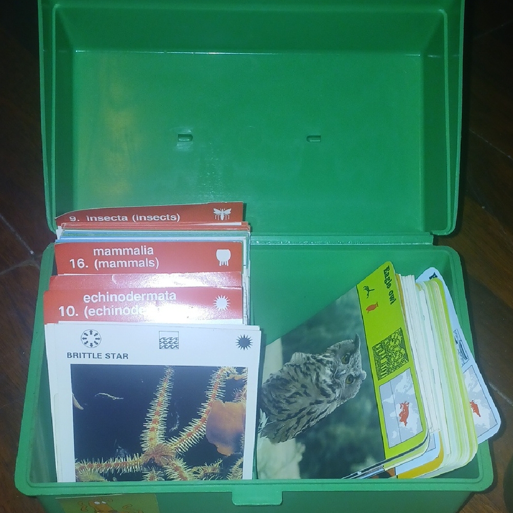 Green Educational Card Set